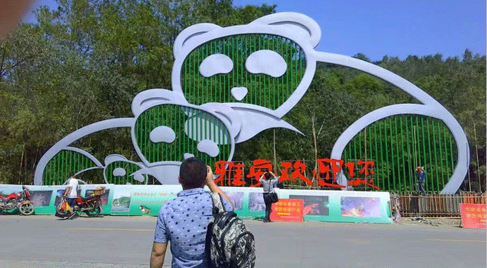 不锈钢熊猫.gif