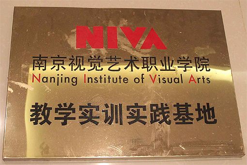 南京视觉艺术职业学院 教育实训实践