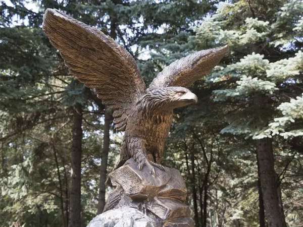 老鹰.jpg 老鹰.jpg